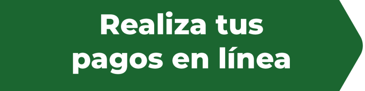 realiza Pagos en línea